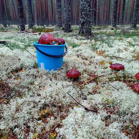 Mysig Timmerstuga Vid Sjoen Bjoerken 34 Roennsudden Grangärde Eksteriør billede